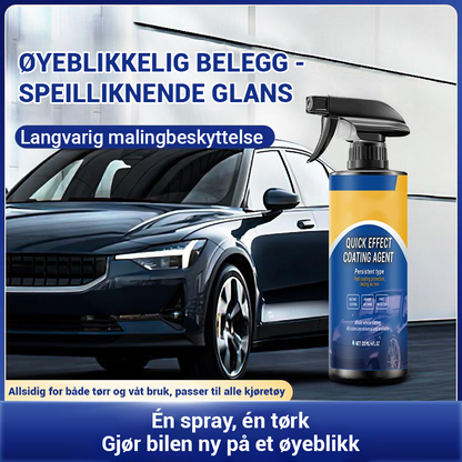 🔥Ryddesalg🔥 Øyeblikkelig Ren Bilbelegg Spray ✨ Ultrahurtigvirkende mot Smuss/Grus/Snø | Enkelt å Bruke for Alle 🚗 Jo Mer Kjøpt, Jo Større Rabatt!