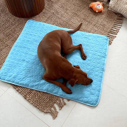 🌞🐱Sommertilbud: 50 % rabatt🧊Førsteklasses kjølematte til kjæledyr🐶