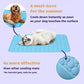 🌞🐱Sommertilbud: 50 % rabatt🧊Førsteklasses kjølematte til kjæledyr🐶