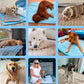🌞🐱Sommertilbud: 50 % rabatt🧊Førsteklasses kjølematte til kjæledyr🐶