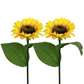 🌻 BEGRENSET TILBUD: 50 % RABATT! ✨ Solsikkelys – automatisk på/av, lyser i 14 timer, IP65-vanntett ☀️