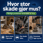 💥Siste dag med 50 % rabatt🔥Urtebasert essensiell olje mot rotter på flaske