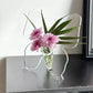 🦋 Gjennomsiktig sommerfuglvas – krystallklar plast, stabil base. Perfekt til blomster, bordpynt og gaver! ✨💐