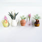 🌸Mini keramisk vase kjøleskapmagnet
