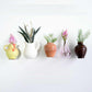 🌸Mini keramisk vase kjøleskapmagnet