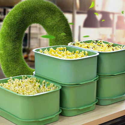 🌱 PROMO LIMITÉE 53% DE RÉDUCTION ! 💥 Caisse Germination Empilable – Mult couche, Anti-Moisissure, Sans Sol ✨