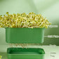 🌱 PROMO LIMITÉE 53% DE RÉDUCTION ! 💥 Caisse Germination Empilable – Mult couche, Anti-Moisissure, Sans Sol ✨