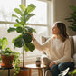 🌱 Universell plante-rotaktivator og jordforbedringsmiddel 💪