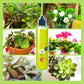 🌿【Plantenæring for alle typer innendørs og utendørs】—En flaske i hånden, verden er din!🌱🏡✨