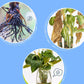 🌱Profesjonell Næringsløsning For Blomstrende Potteplanter🍀