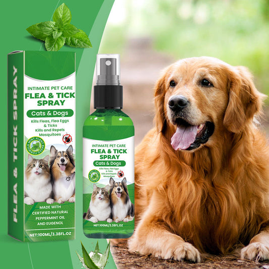 🍃Naturlig spray mot lopper og flått for hunder og katter🐾 Hold ditt kjære kjæledyr fri for skadedyr