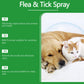 🍃Naturlig spray mot lopper og flått for hunder og katter🐾 Hold ditt kjære kjæledyr fri for skadedyr