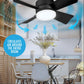 🔥Salg – 50 % rabatt – 🎁 2-i-1 bærbar takvifte og lampe med fjernkontroll