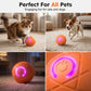 🐾 SMART DYREBALL MED AUTOMATISK SPRINGEFUNKSJON OG FJERNBETJENING — 3 interaktive moduser | Tyggebestandig E-TPU | Oppladbar via USB-C 🎾