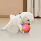 🐾 SMART DYREBALL MED AUTOMATISK SPRINGEFUNKSJON OG FJERNBETJENING — 3 interaktive moduser | Tyggebestandig E-TPU | Oppladbar via USB-C 🎾