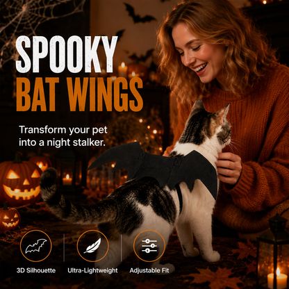 Halloween-kostyme med flaggermusvinger til kjæledyr