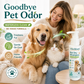 🐾 50 % RABATT NÅ! 🧴 Rinse-Free Pet Shampoo Mousse – uten vann, beroligende og med en frisk duft – perfekt for hunder og katter med sensitiv hud 🐕🐈✨