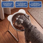 🏆 Spesialpris på siste dag: 199,99 kr! 🥣Ortopedisk matskål med 15° helling