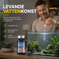 🐠💧 50 % RABATT NÅ! 💧🐠 Profesjonelle vannrensetabletter for akvarium – fremmer nyttige bakterier, biologisk filtrering og enkel bruk – perfekt for klarere vann og sunne fisker 🌊✨