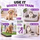 ⏰🔥BEGRENSET TID: bare 99,99 kr! 🐾 Over 10 000 solgte! Potty Training Spray – effektiv luktfjerner, allsidig og sikker – perfekt for valper, katter og et renere hjem ✨