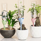 ⏰🔥BEGRENSET TID: bare 99,99 kr!💦Justerbar dryppvanningsspyd for planter med automatisk vanning