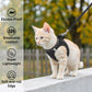 Reflekterende sele- og båndsett i netting for katt og liten hund