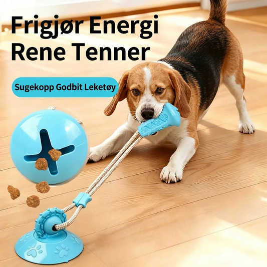 Interaktivt godbitball-leketøy