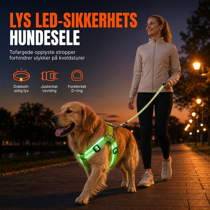 Justerbart LED-hundesele med lysende blinkende brystbånd for kjæledyr
